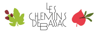 petit logo les chemins de bassac